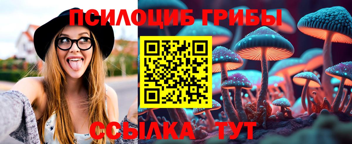 Псилоцибиновые грибы MAGIC MUSHROOMS  Псилоцибиновые грибы Psilocybe  Фрязино  Вход с VPN 